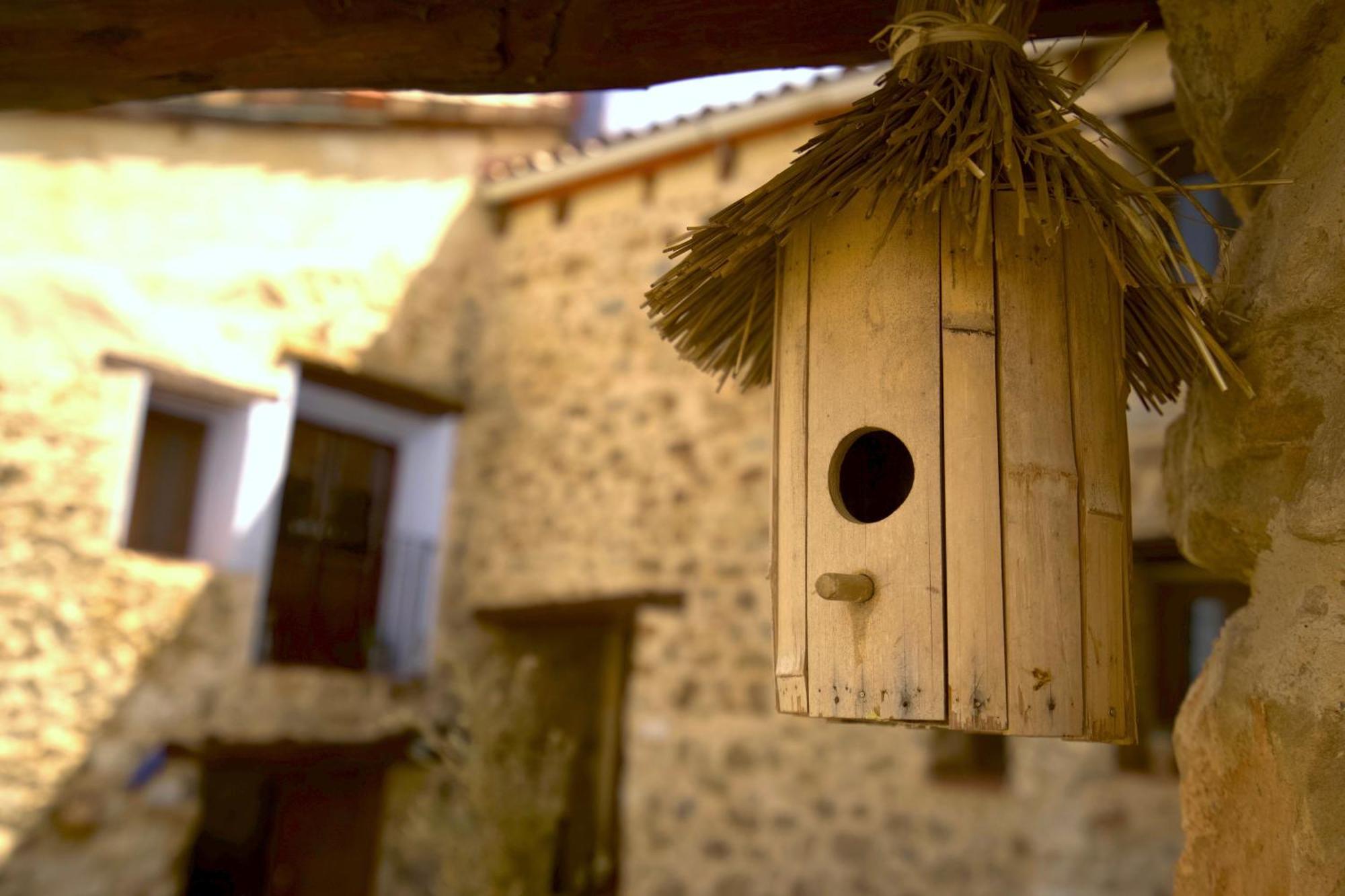 El Cau Dels Somnis * La Cuevarruz